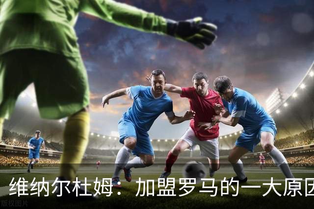 维纳尔杜姆：加盟罗马的一大原因是因为萨拉赫的推荐